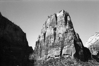 BW Photos of general interior views of Zion Canyon - 35mm.