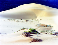 Panoramic view of Coral Pink Sand Dunes.
