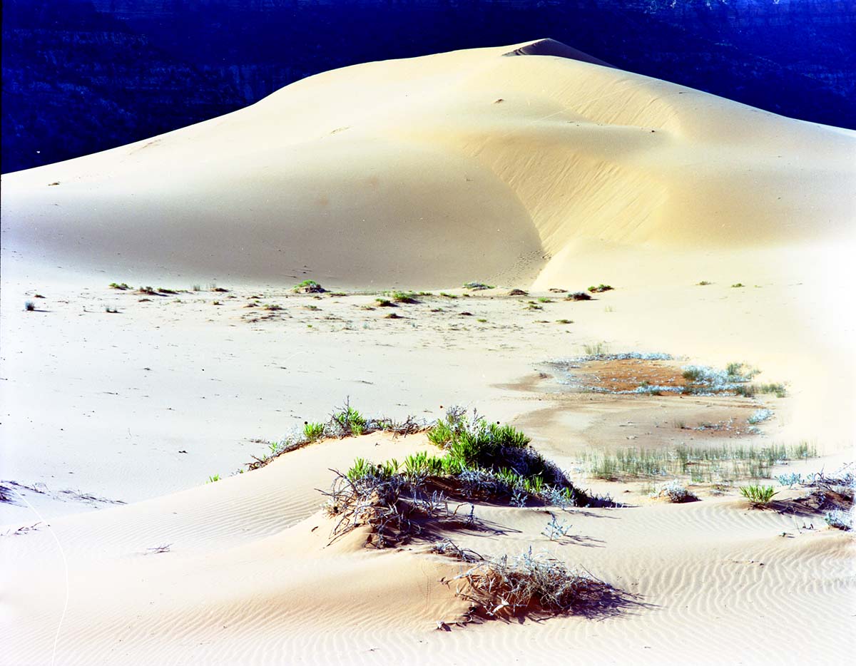 Panoramic view of Coral Pink Sand Dunes.