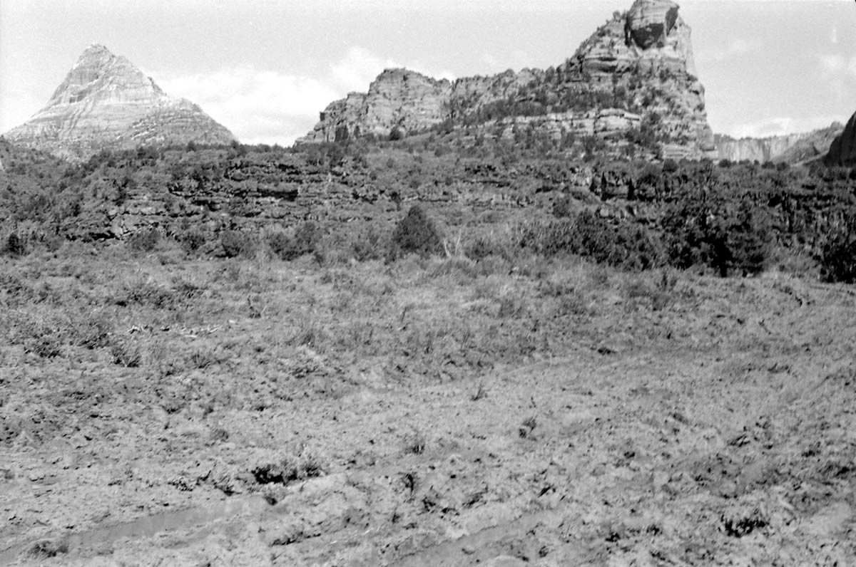 BW photo of the 1937 grazing study 35MM. Cleared land for grazing.