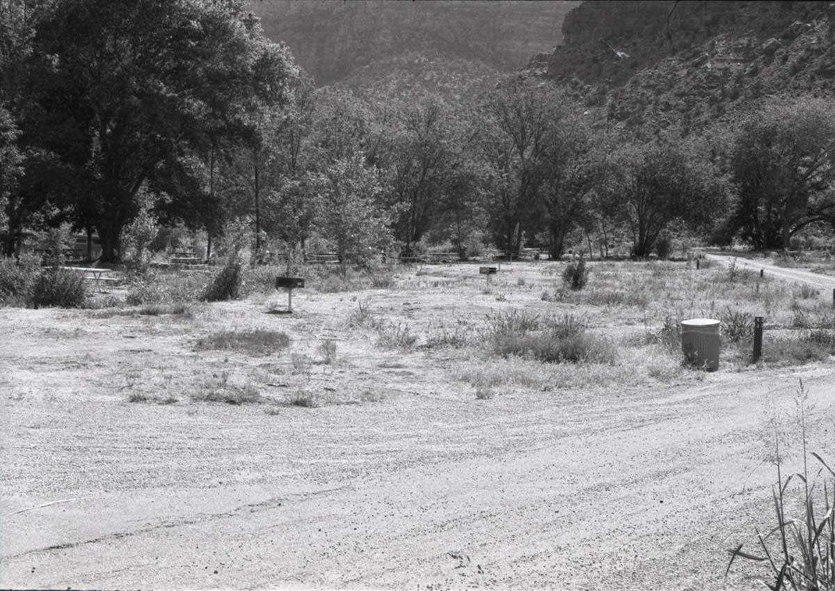Campsites at the Watchman Campground.