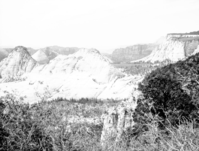 The Great West Canyon (also called Left Fork of North Creek) from West Rim trail.