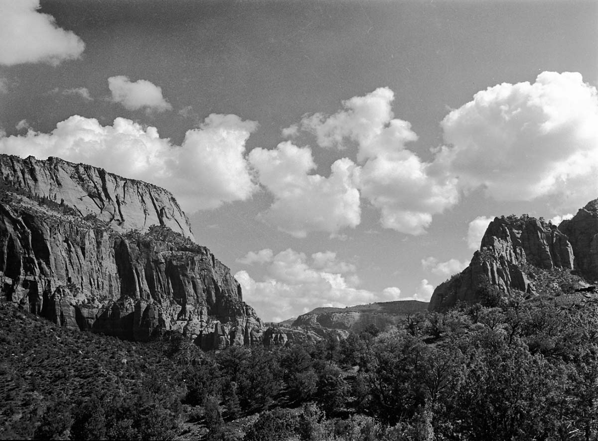 La Verkin Creek with Navajo sandstone cliffs to either side.