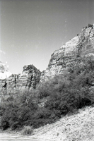 BW Photos of general interior views of Zion Canyon - 35mm.