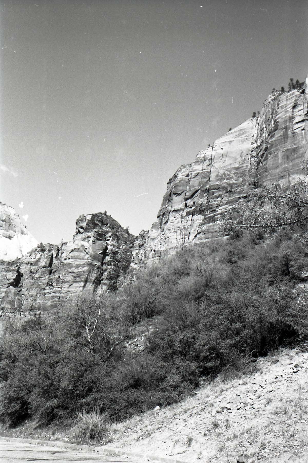BW Photos of general interior views of Zion Canyon - 35mm.
