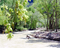 Color Photos of the Virgin River.