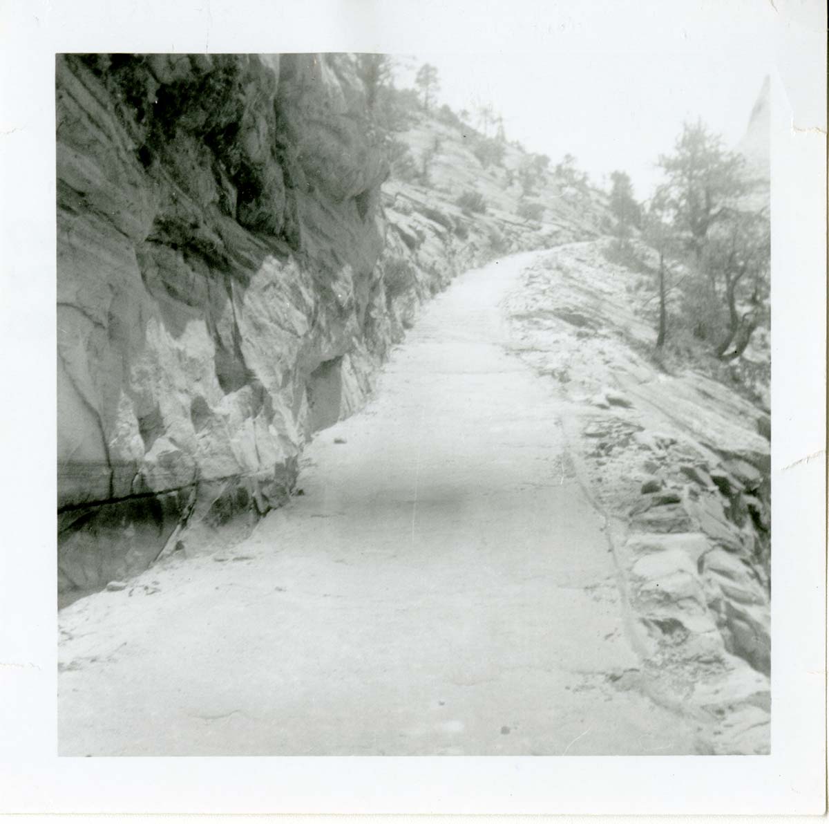 General view of the East Rim trail.