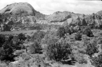 BW photo of the 1937 grazing study 35MM.