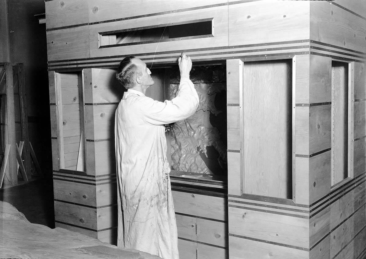 Western Museum Laboratory (WML) worker putting the finishing touches on the Zion Museum's cactus diorama exhibit case.