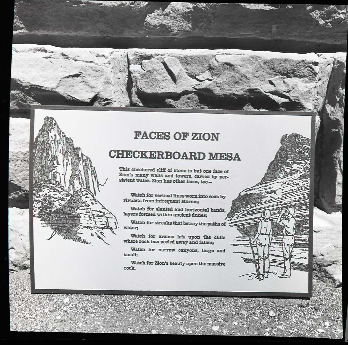 BW Photos of trailside exhibits.