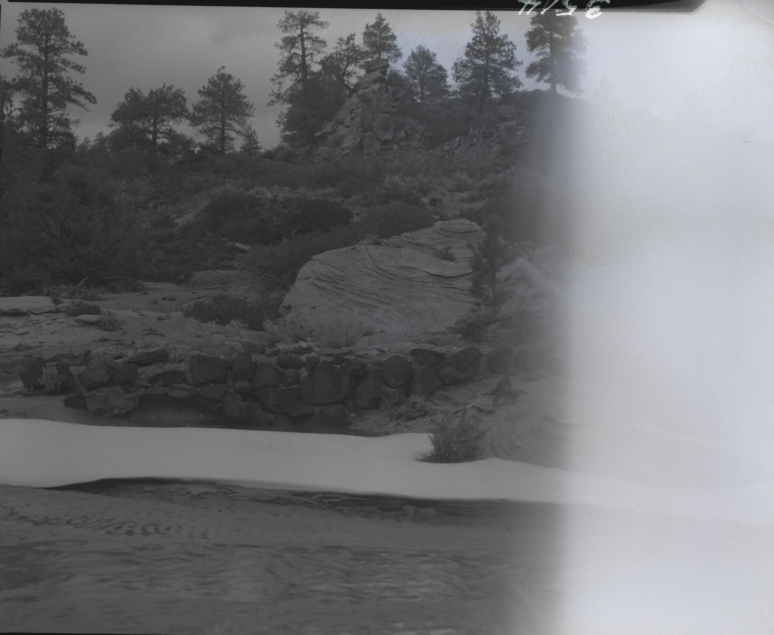 Evan Lee's water system on park land.