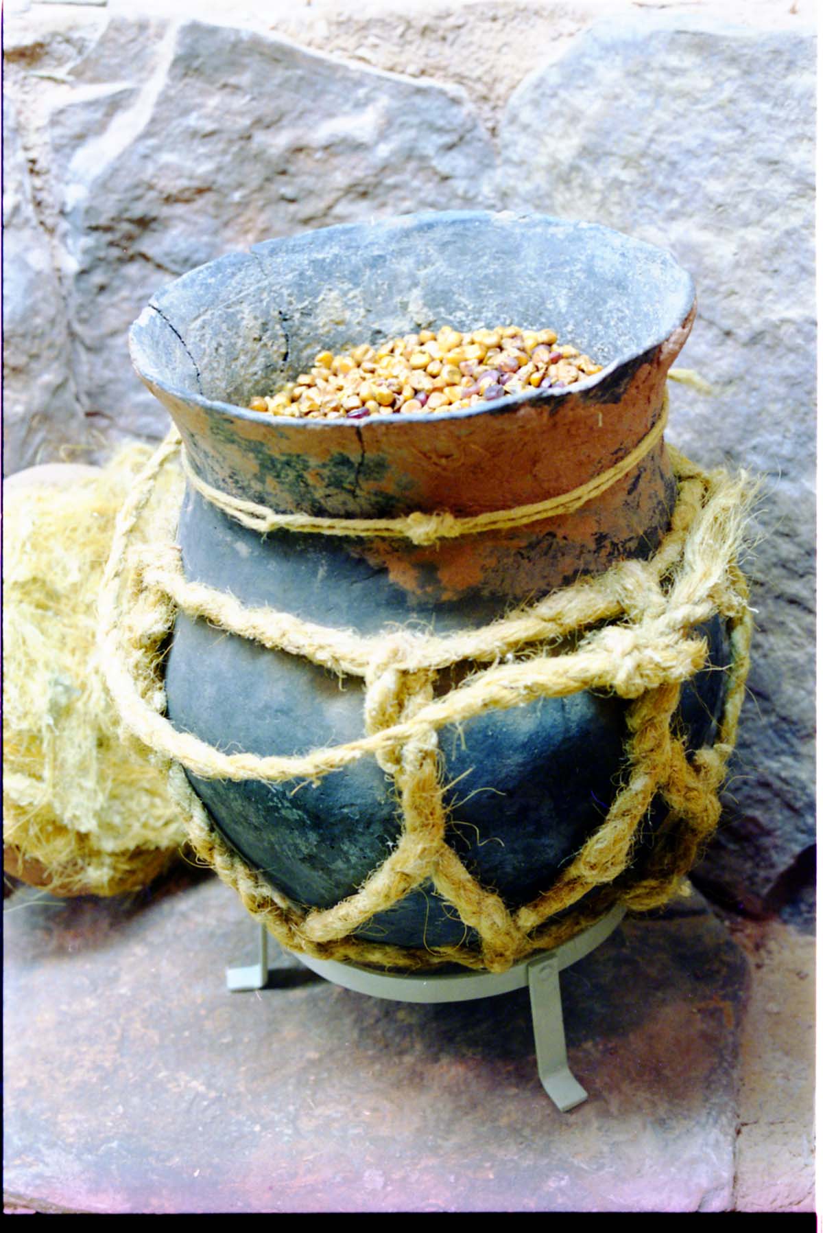 Color photos of prehistoric jar (North Creek Gray) display.