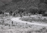 Road driving through Watchman Campground lined with campsites with picnic tables and grills.