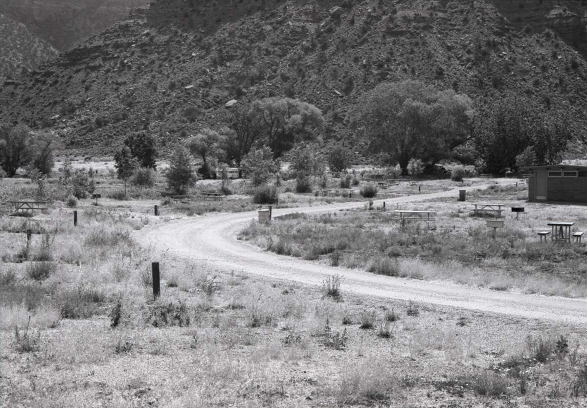 Road driving through Watchman Campground lined with campsites with picnic tables and grills.