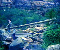 The Temple of Sinawava spring project - scaffolding construction and use.