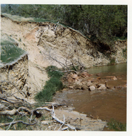 Color photos of channel clearing and bank stabilization along the Virgin River near Birch Creek.