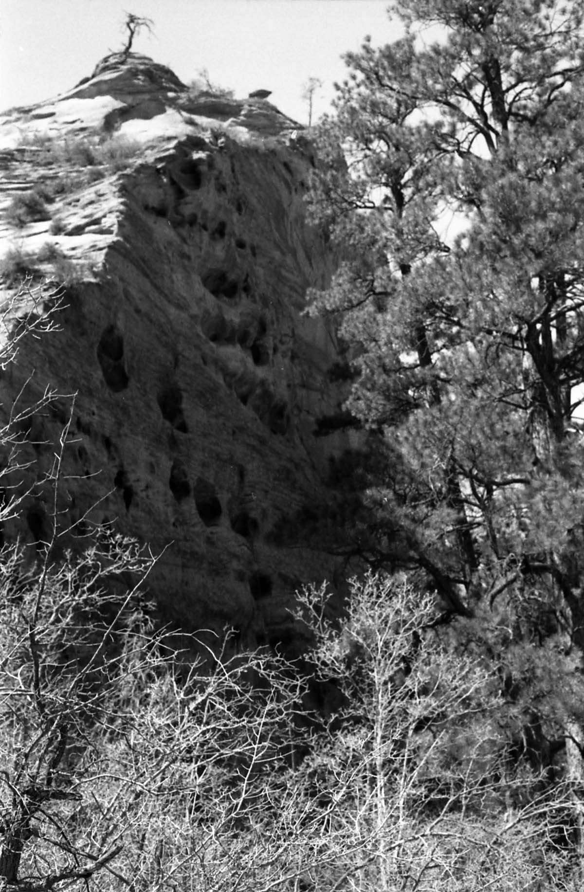 BW Photos of general interior views of Zion Canyon - 35mm.