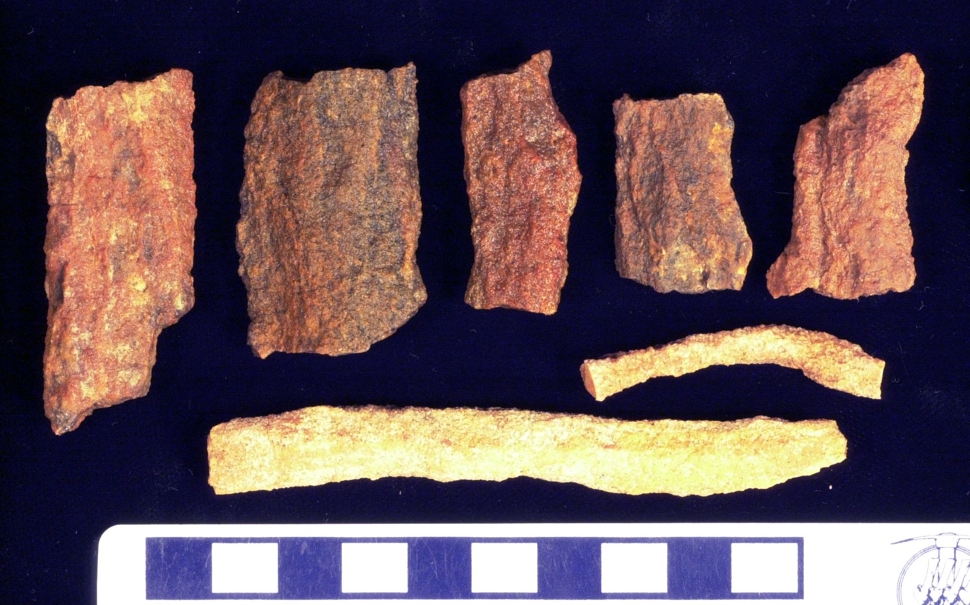 Bone Fragments