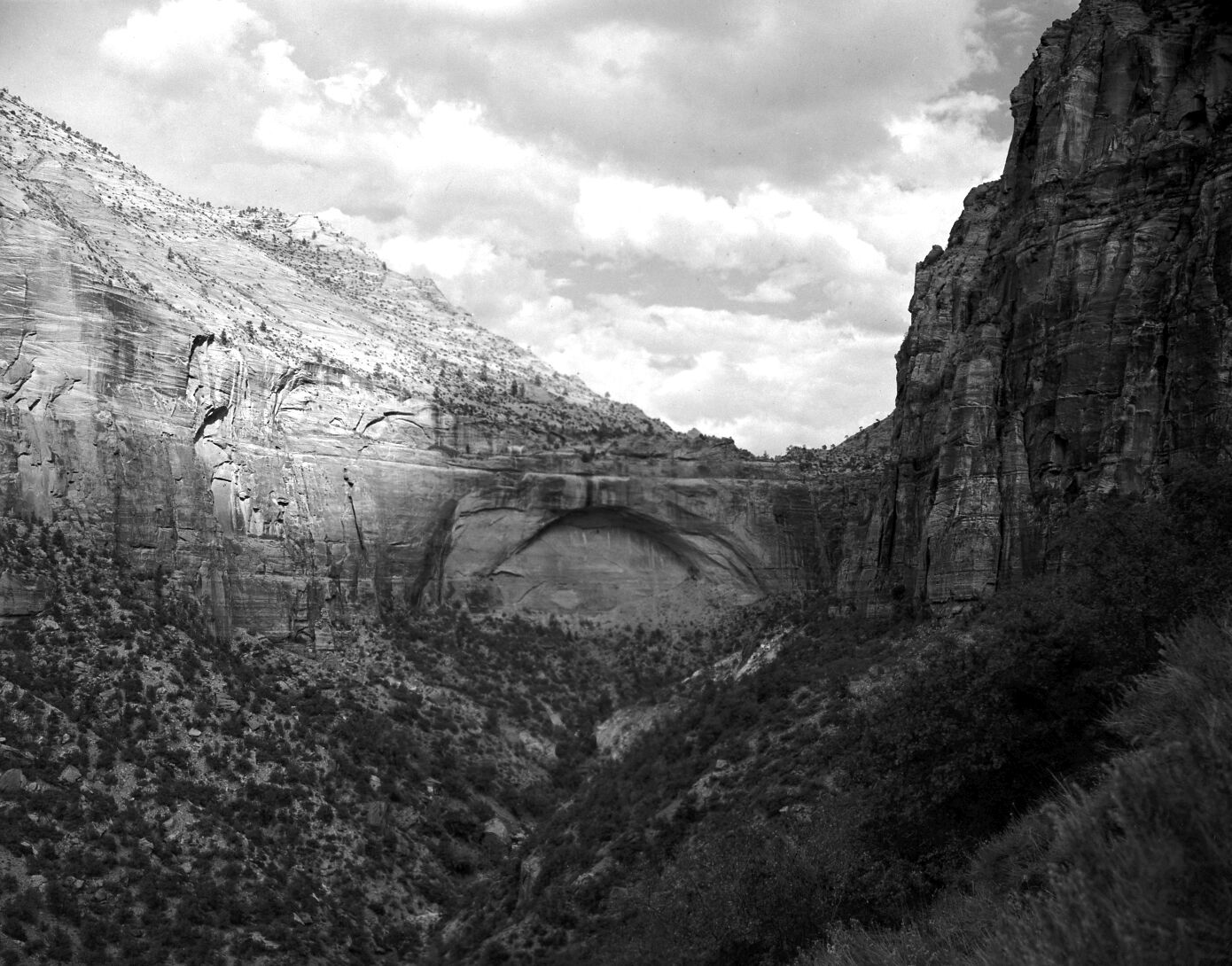 The White Arch and White Cliffs near the East Entrance.