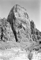 The Great White Throne, with planting along Virgin River riverbed in foreground (revegetation project).