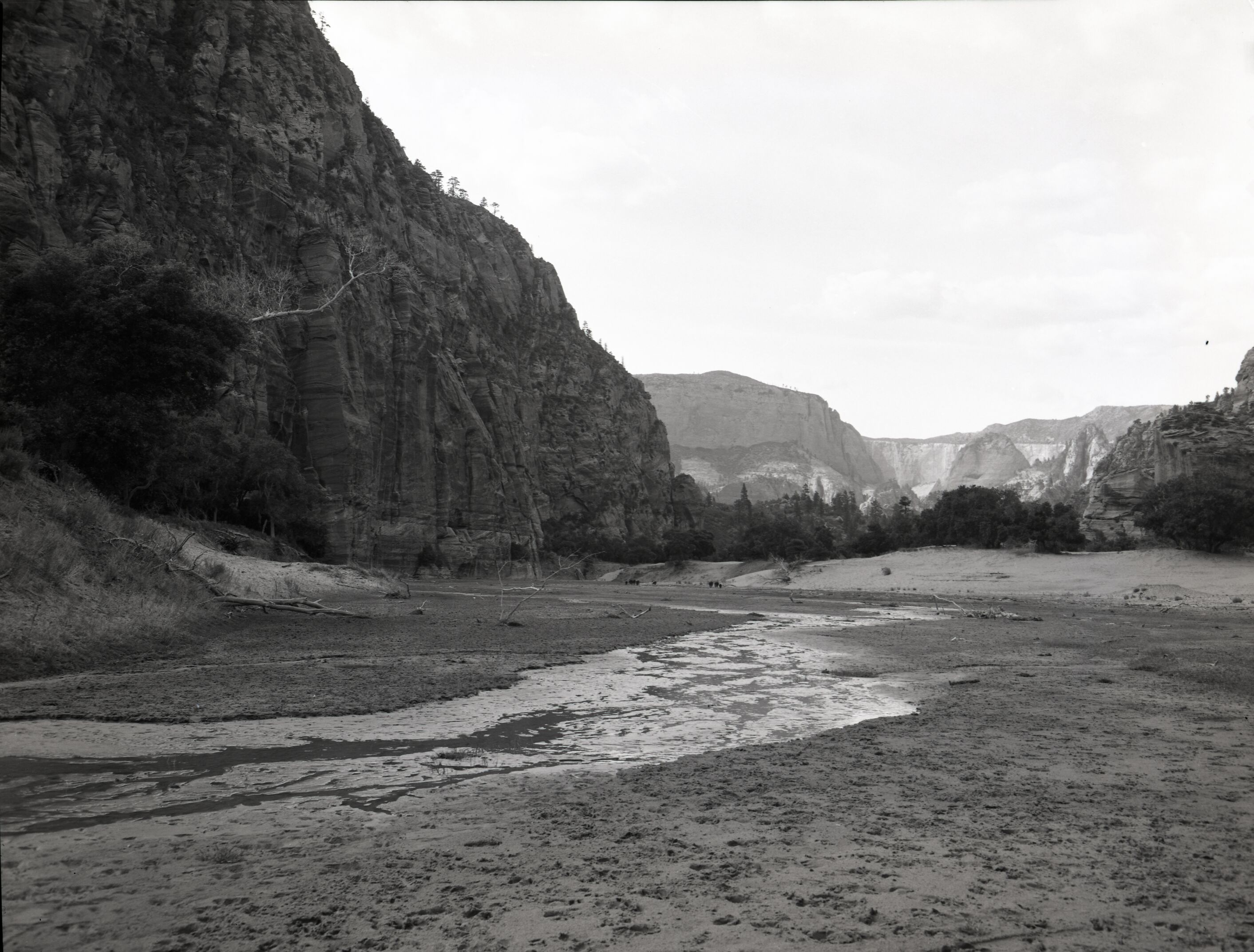 Water use in Hop Valley: irrigation, improper land use, and overgrazing to refute water diversion rights claim under grazing permit.