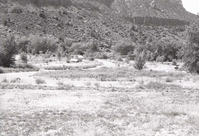 Camping sites with one trailer filling a spot in Watchman Campground.