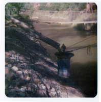 Cement pouring from chute into mold for abutment for the new Grotto footbridge. Old suspension bridge visible in background. Note revetments along riverbank.