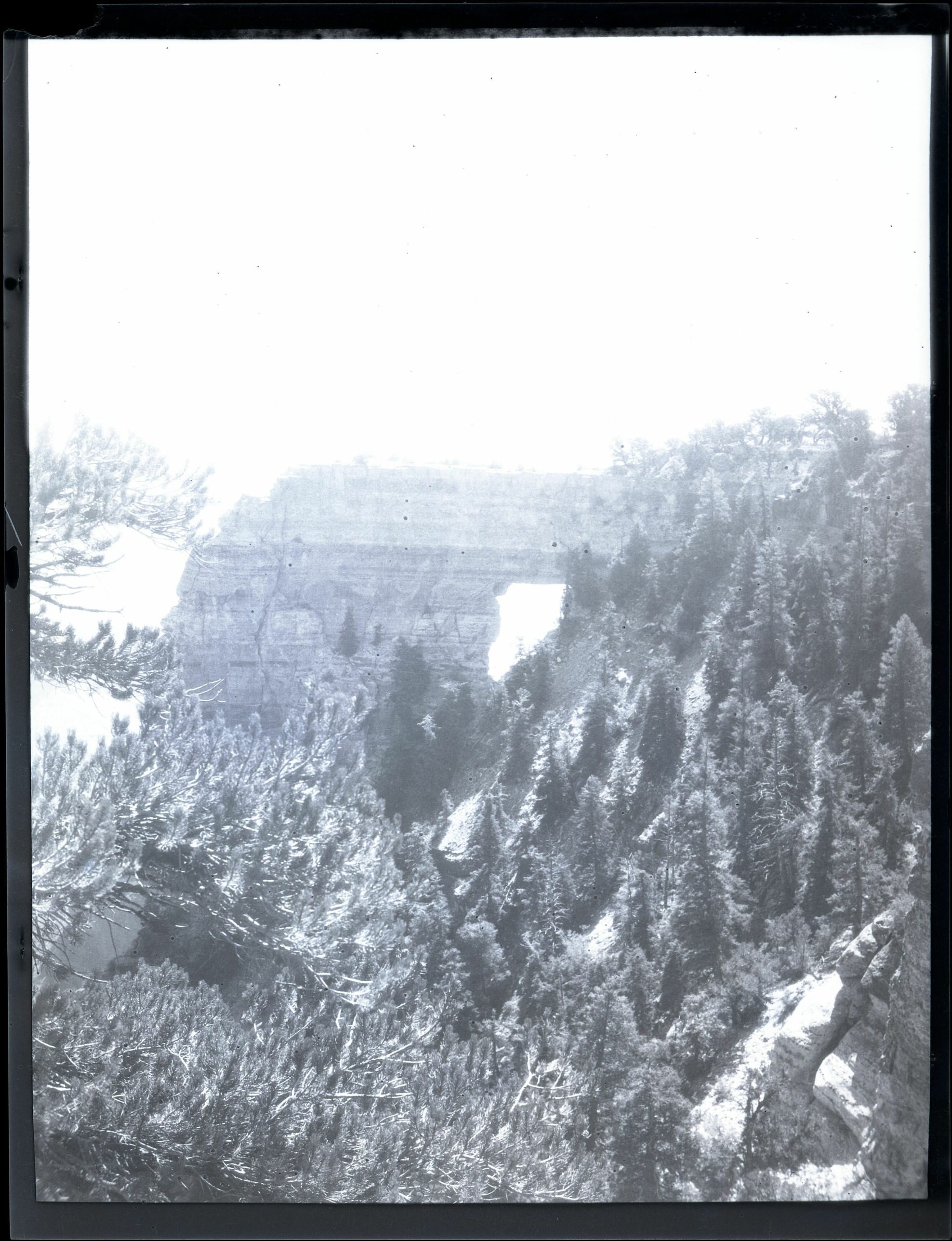 BRCA Museum and Archives Image