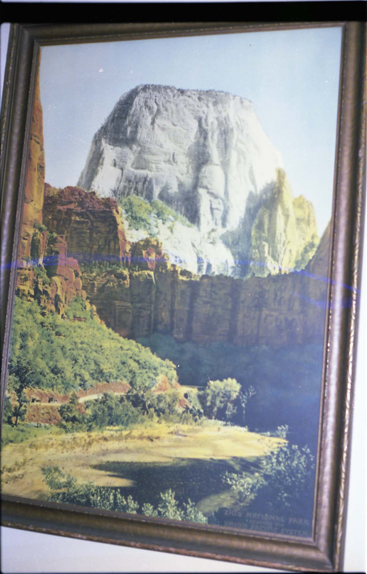 Color Photos of a temporary art exhibit.