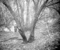 Clearing/cleaning and setting up of the lodge spray field.