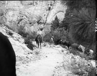 Completed paving of West Rim Trail near shelter cabin with horseback riders.