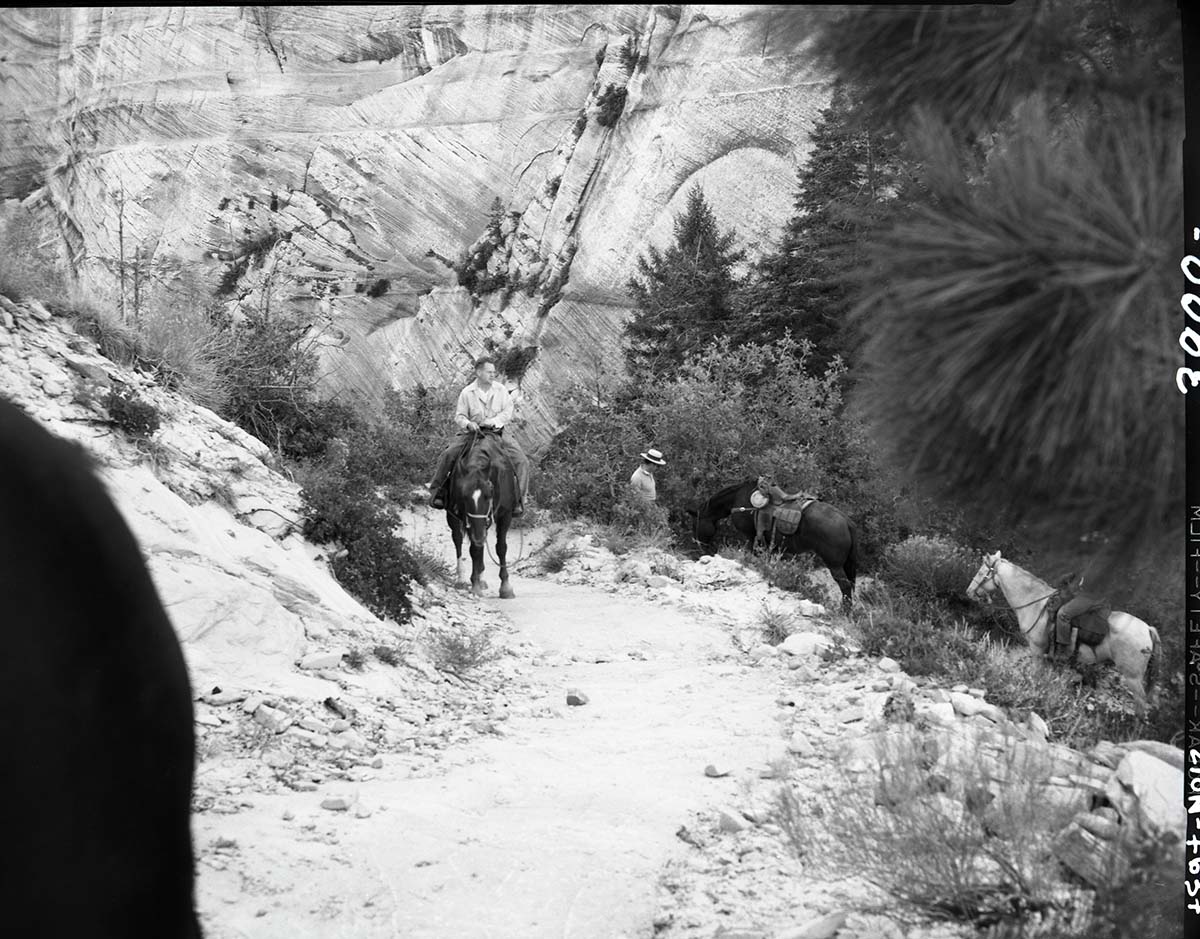 Completed paving of West Rim Trail near shelter cabin with horseback riders.