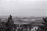 BW photo of the 1937 grazing study 35MM.