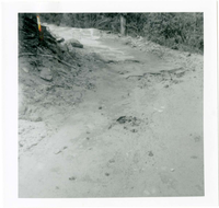 The West Rim trail half tunnel maintenance/stabilization.