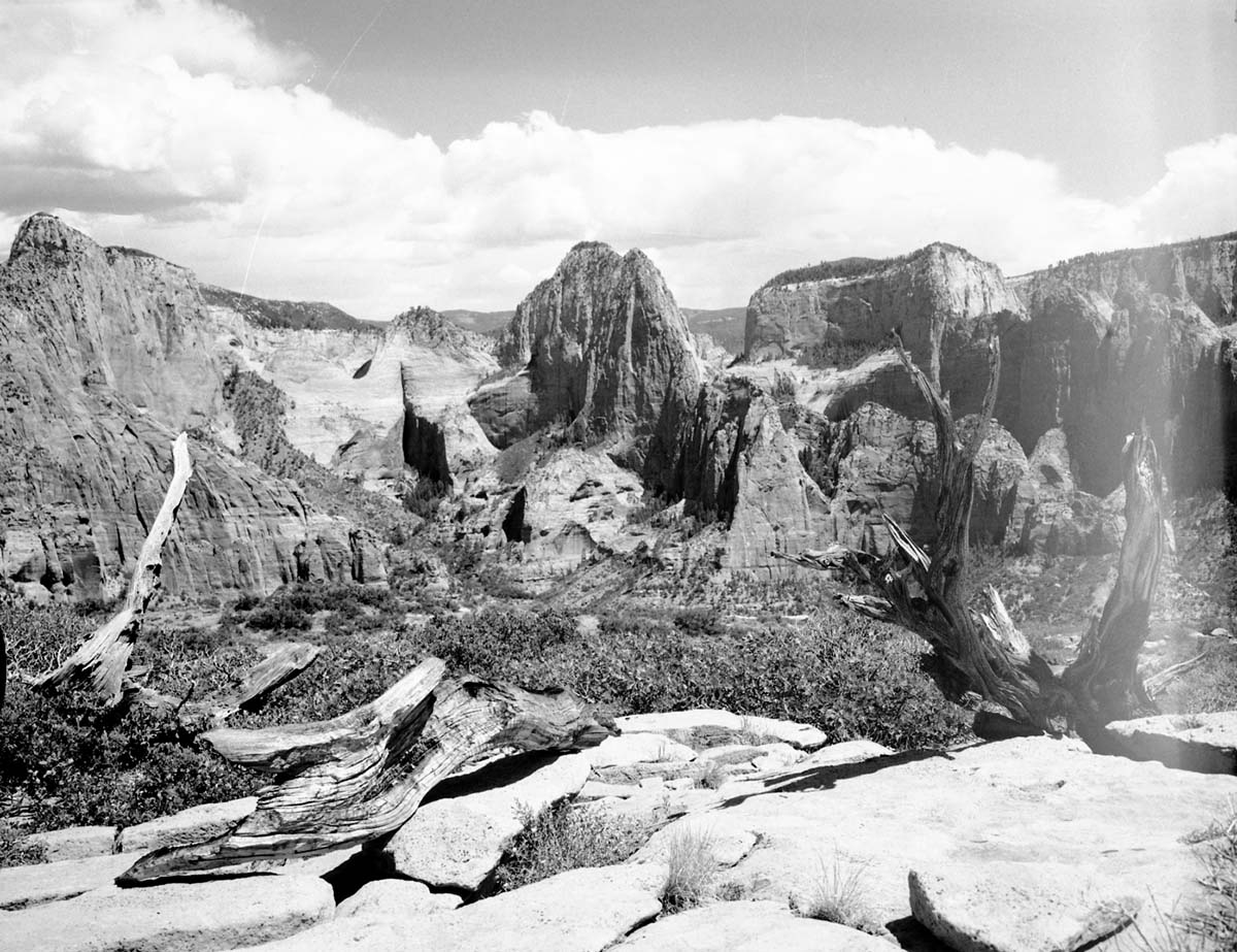 View from west of Lee's Pass toward finger canyons of the Kolob. Taken on high point south of Taylor Creek.
