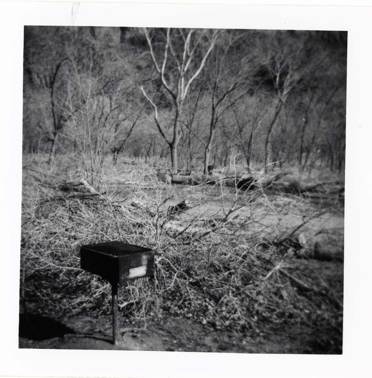 Cleaning and clearing in campground area.