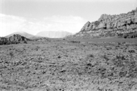 BW photo of the 1937 grazing study 35MM. Cleared land for grazing.