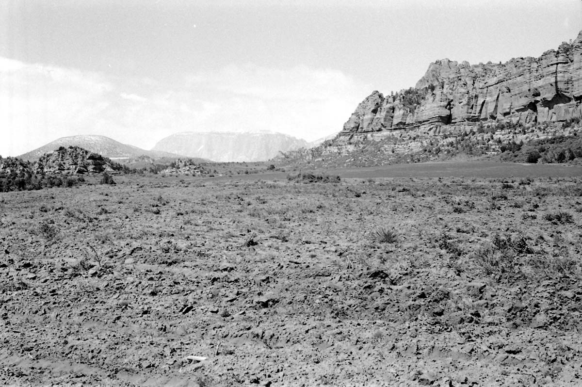 BW photo of the 1937 grazing study 35MM. Cleared land for grazing.