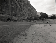 Irrigation in Hop Valley; improper land use, overgrazing to refute water diversion rights claim under grazing permit.