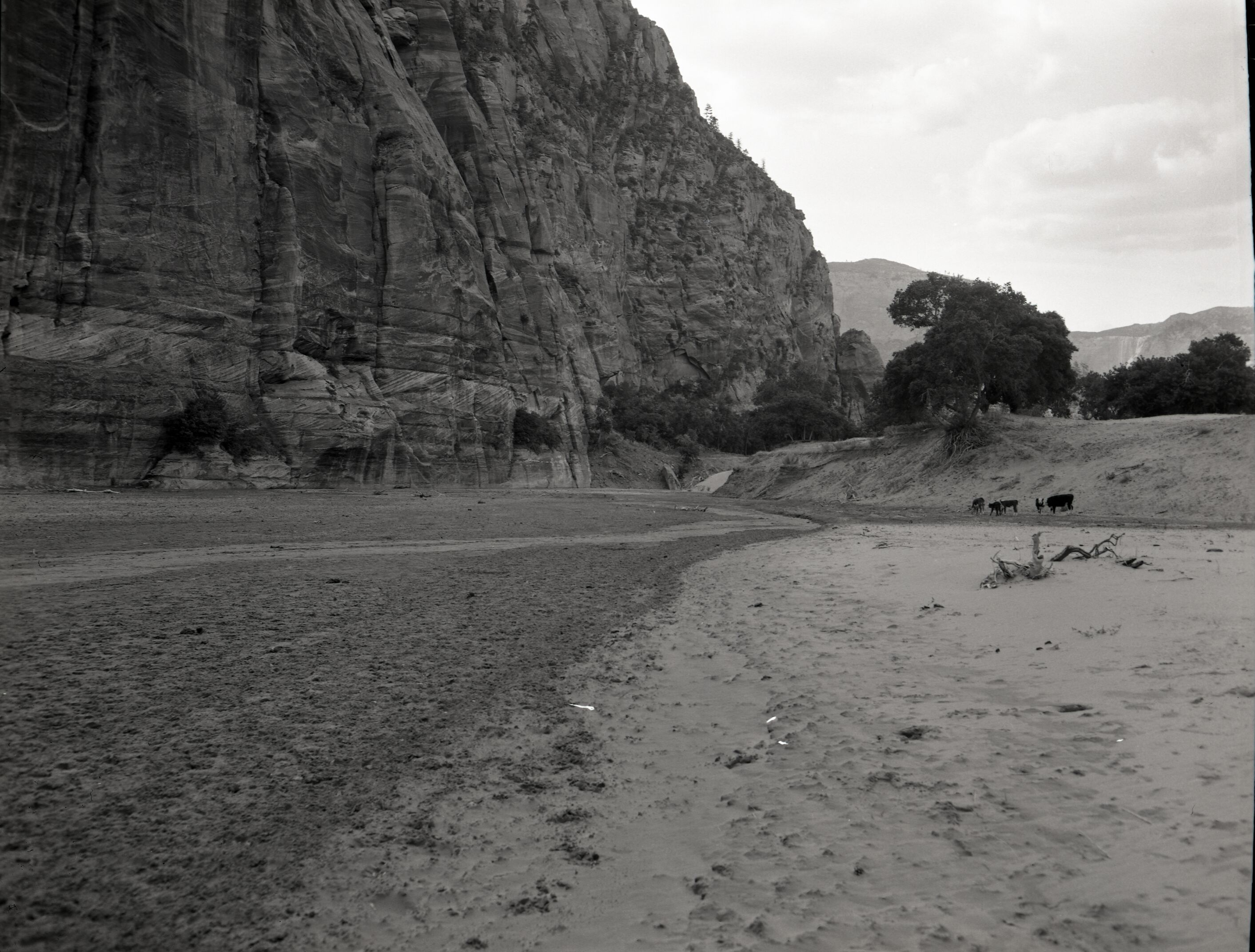 Irrigation in Hop Valley; improper land use, overgrazing to refute water diversion rights claim under grazing permit.