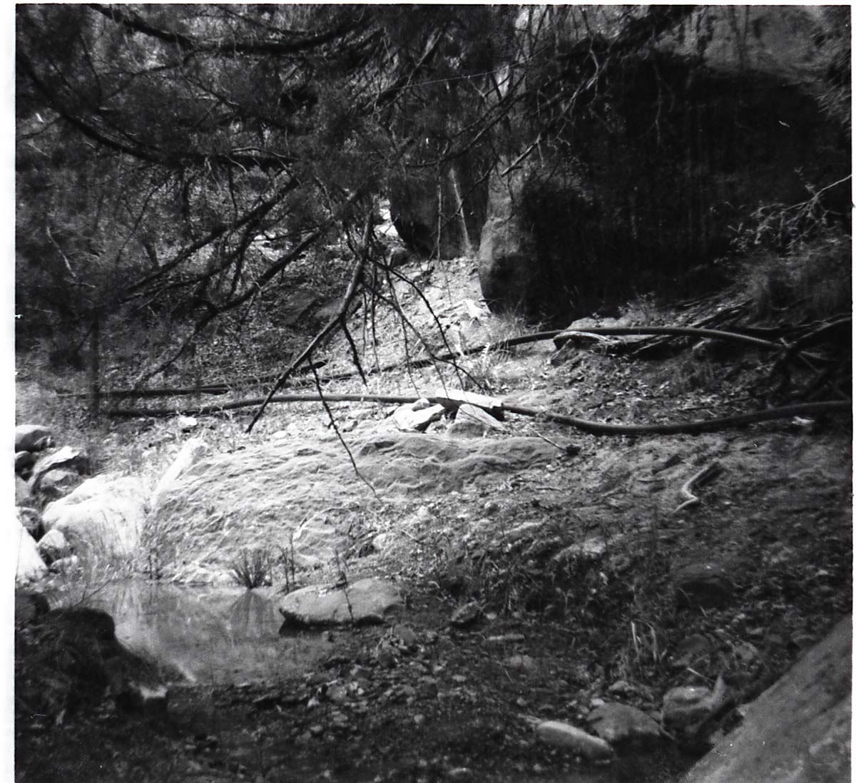Spring and pond with pipe near base of canyon wall. [Birch Creek]