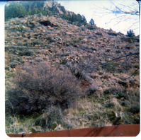 Personnel performing maintenance activities.