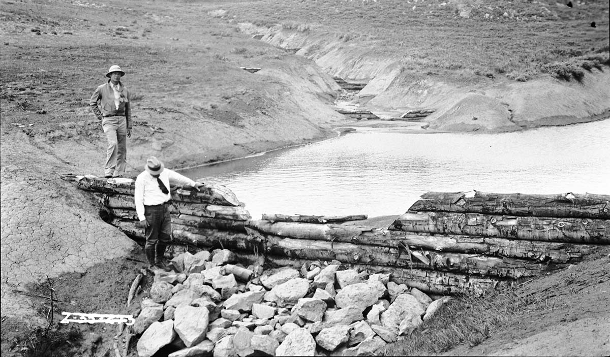 Blue Springs area log water retention dam with 2 people.