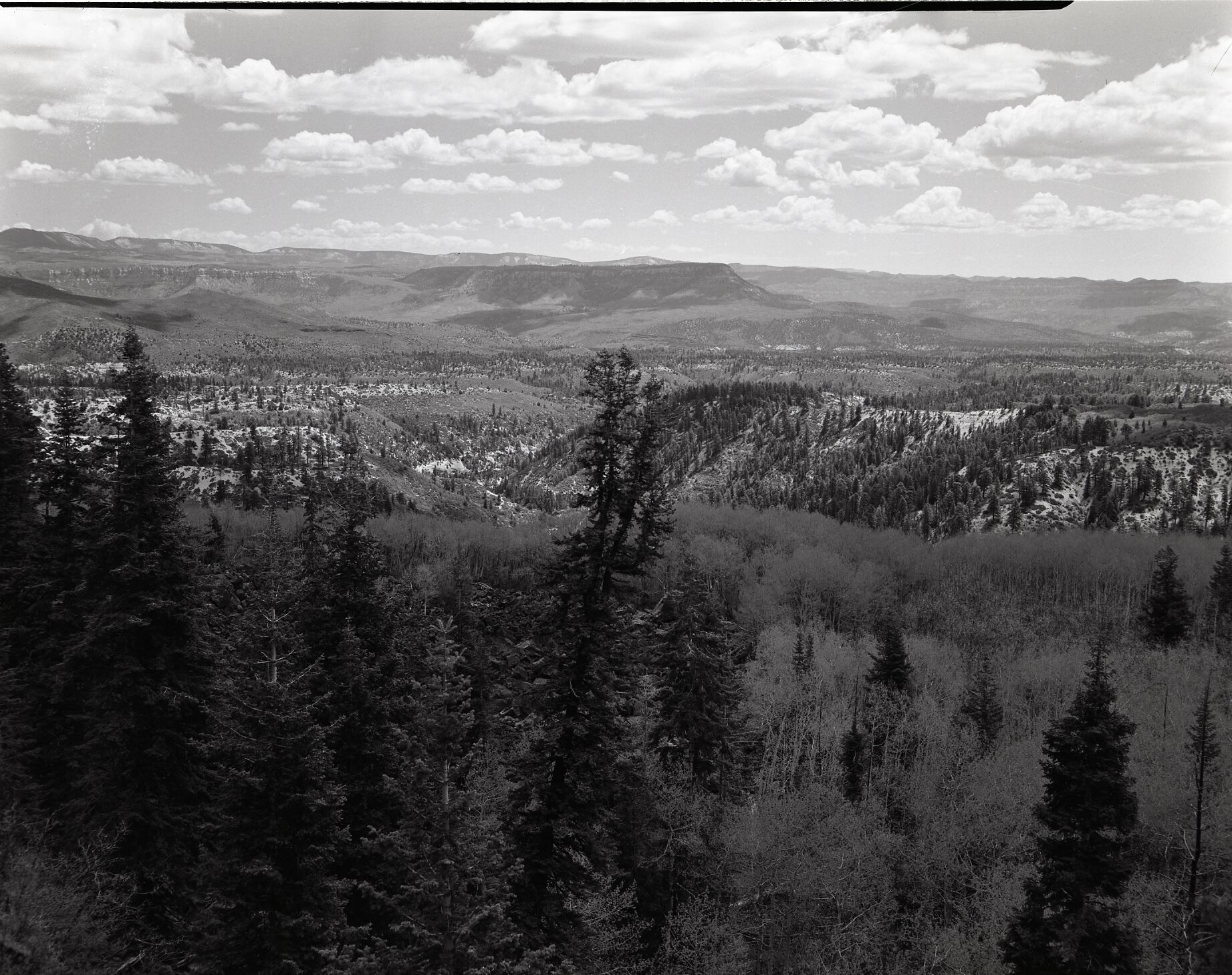 Head of Kolob Canyon north of Lava Point, sections 30 and 31, T 39S, R 10 W, for boundary change.