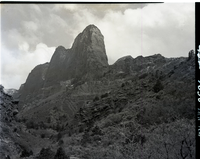Looking up Middle Fork of Taylor Creek - for proposed road construction. [Kolob Canyon]