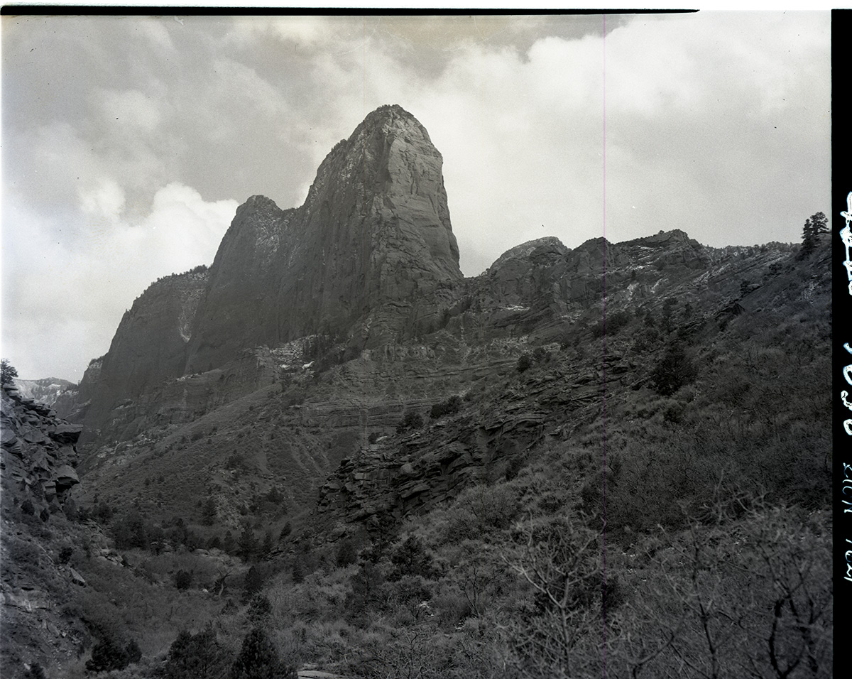 Looking up Middle Fork of Taylor Creek - for proposed road construction. [Kolob Canyon]