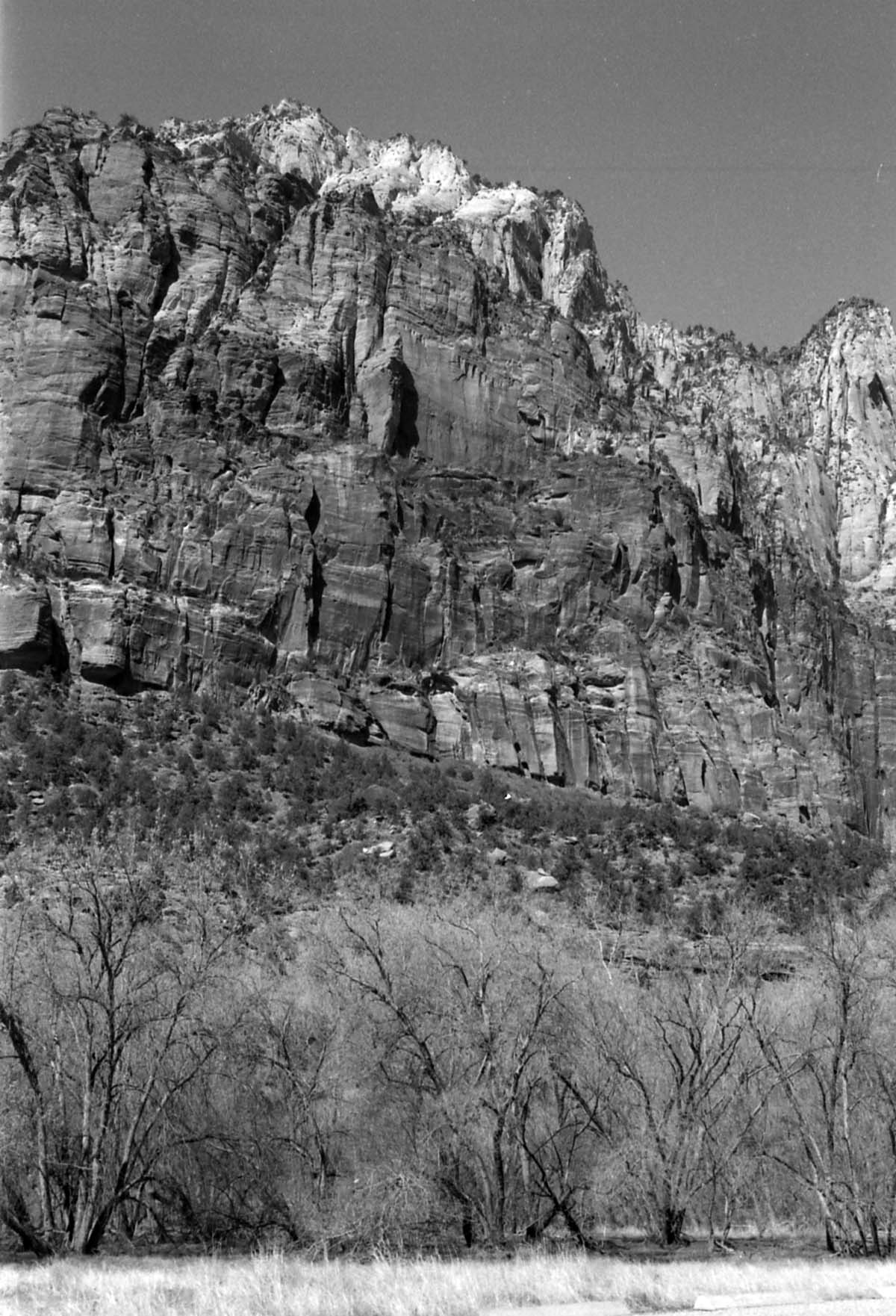 BW Photos of general interior views of Zion Canyon - 35mm.