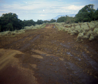 Color Photos of rock slides in Kolob Canyon.