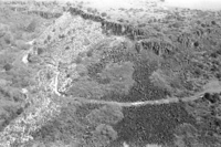 BW photo of the 1937 grazing study 35MM. Photo of road to Lee Spring.