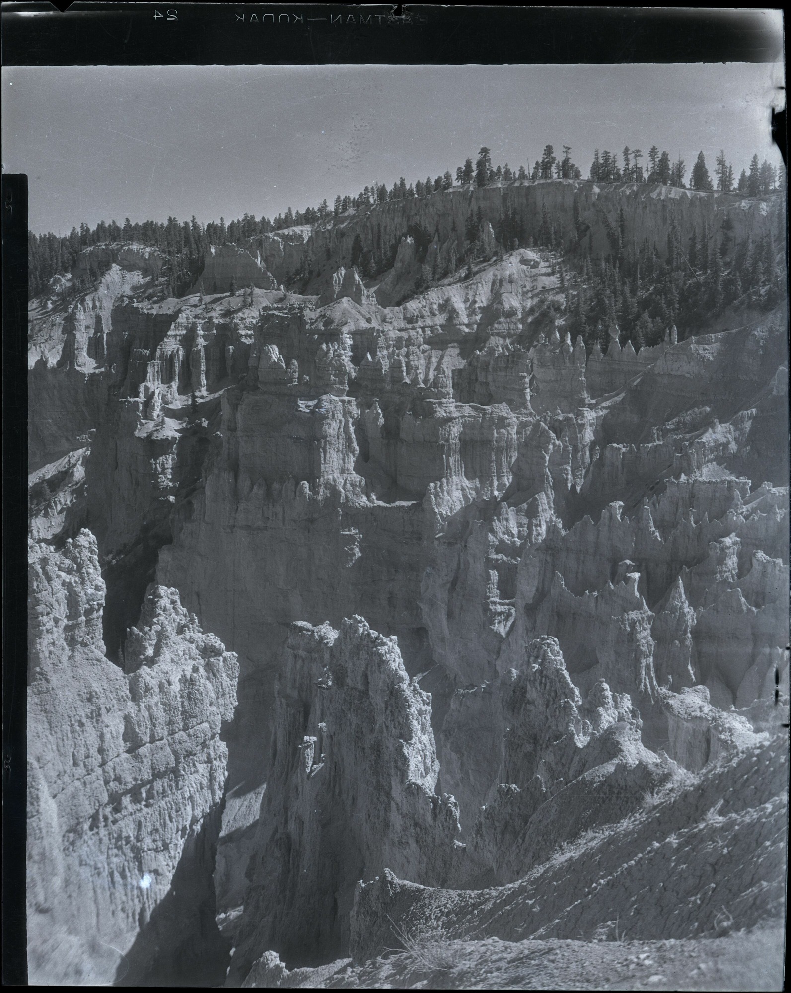 BRCA Museum and Archives Image